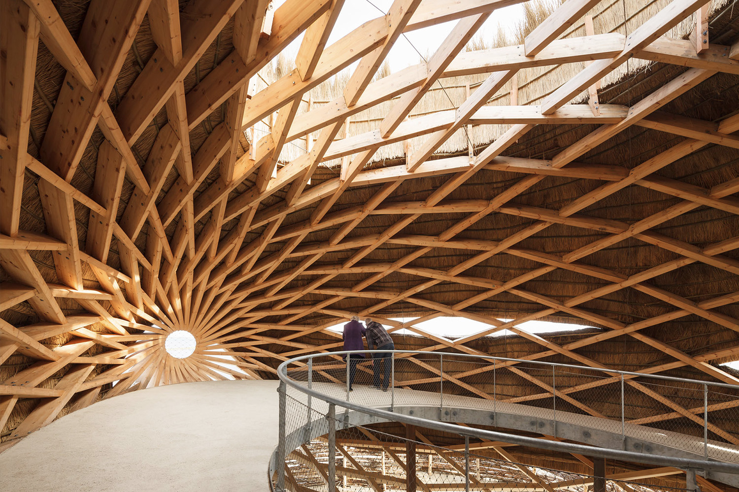 TIJ - Rau Architects